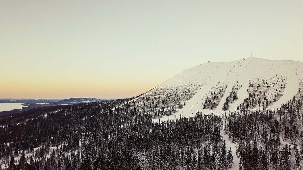 mountain range pine trees at the foot of snow covered mountain forest